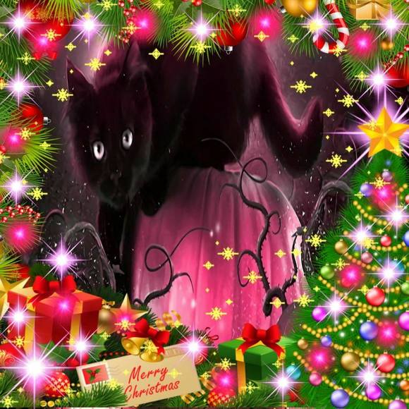 Meet your Posher, Nicole - Picture 1 of 1